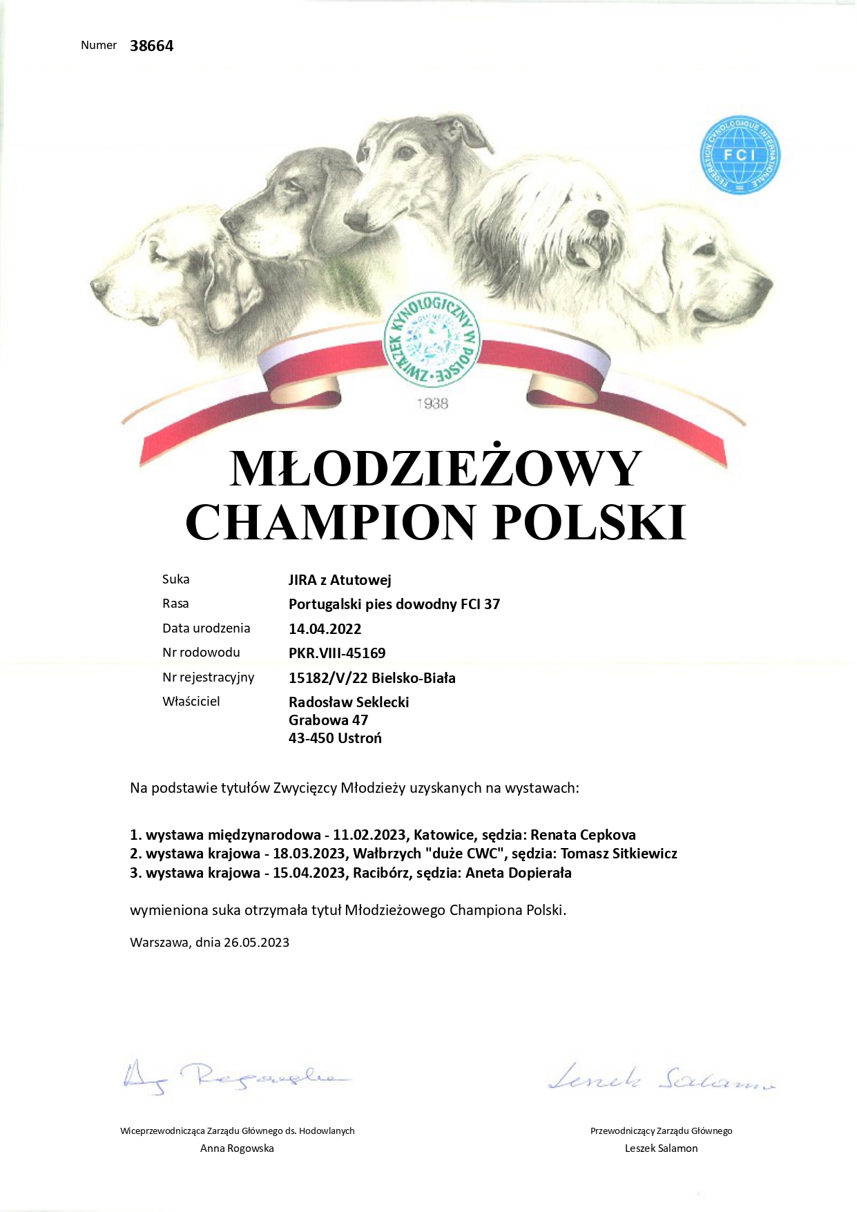 Młodzieżowy Champion